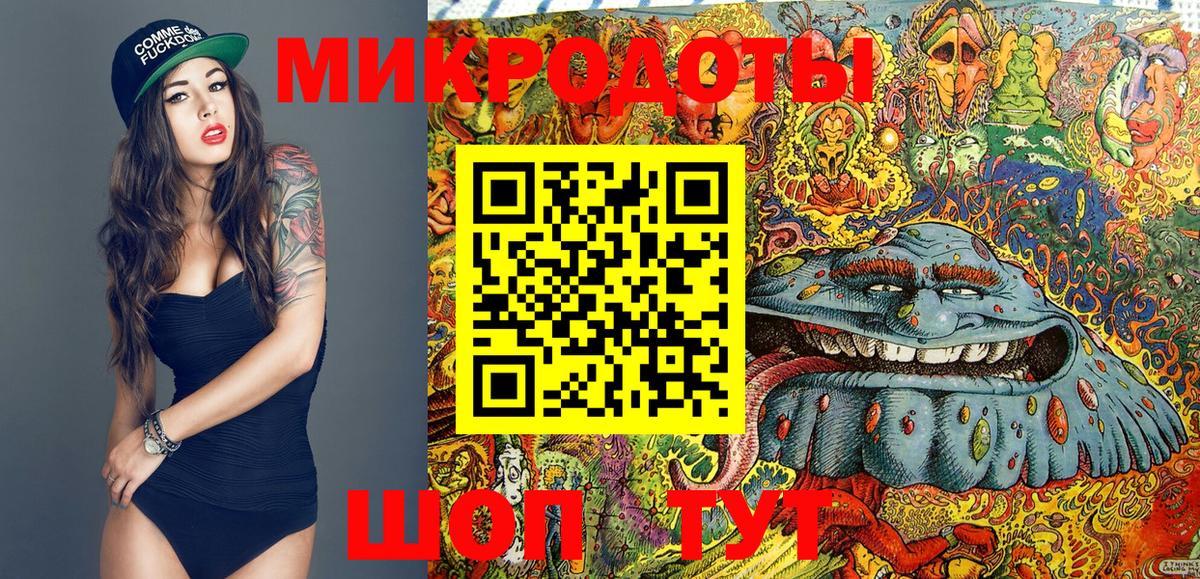 Галлюциногенные грибы прущие грибы  Вход с VPN  Псилоцибиновые грибы мухоморы  Елабуга 